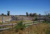 1273 Caloola Road, Boggabri, NSW 2382-Image