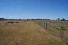 1273 Caloola Road, Boggabri, NSW 2382-Image
