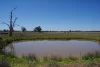 1273 Caloola Road, Boggabri, NSW 2382-Image