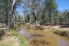1273 Caloola Road, Boggabri, NSW 2382-Image