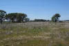 1273 Caloola Road, Boggabri, NSW 2382-Image