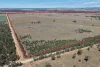 1273 Caloola Road, Boggabri, NSW 2382-Image
