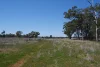 1273 Caloola Road, Boggabri, NSW 2382-Image