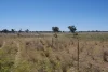 1273 Caloola Road, Boggabri, NSW 2382-Image