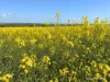 1320 Nukarni West Road, Elabbin, WA 6490-Image