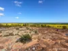 1320 Nukarni West Road, Elabbin, WA 6490-Image