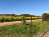 1320 Nukarni West Road, Elabbin, WA 6490-Image