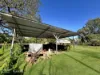 133 Gorge Road, Katherine, NT 0850-Image