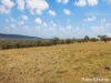 134 Mersing Road, Glanmire, NSW 2795-Image