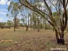 134 Mersing Road, Glanmire, NSW 2795-Image