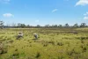 136 Tangryang Road, Marulan NSW 2579-Image