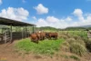 136 Waughs Pocket Road, Waugh Pocket, Qld 4871-Image