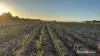 1368 Yilliminning Road, Boundain, WA 6312-Image