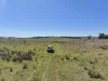 1377 Mandurama Road, Neville NSW 2799-Image