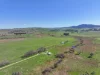 1377 Mandurama Road, Neville NSW 2799-Image