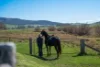 1377 Mandurama Road, Neville NSW 2799-Image