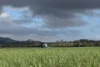 1379-1383 Gunyarra Road, Andromache, Qld 4800-Image