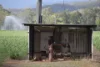 1379-1383 Gunyarra Road, Andromache, Qld 4800-Image