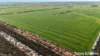 1417 Poverty Lane, Salmon Gums, WA 6445-Image
