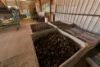 145 Quinns Road, Moorland QLD 4670-Image