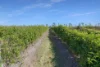 145 Quinns Road, Moorland QLD 4670-Image