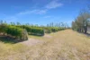 145 Quinns Road, Moorland QLD 4670-Image