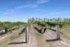145 Quinns Road, Moorland QLD 4670-Image