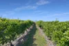 145 Quinns Road, Moorland QLD 4670-Image