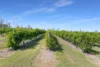 145 Quinns Road, Moorland QLD 4670-Image