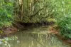 15 Armstrong Road, Rosebank NSW 2480-Image