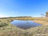 151 Pine Ridge Road, Rock Forest, NSW 2795-Image