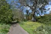 154/170 Rocky Castle Road, Coonawarra, SA 5263-Image