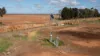 15545 Mid Western Highway, Goolgowi, NSW 2652-Image