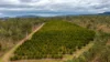 15851 Burnett Highway, Gayndah QLD 4625-Image