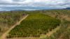 15851 Burnett Highway, Gayndah QLD 4625-Image