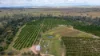 15851 Burnett Highway, Gayndah QLD 4625-Image