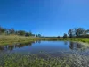 160 Rocky Gully Road, Emu Creek QLD 4355-Image
