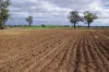 163 Old Gunnedah Road, Narrabri, NSW 2390-Image
