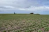 164 Cockaleechie Road, Cockaleechie, SA 5631-Image