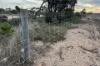 164 Cockaleechie Road, Cockaleechie, SA 5631-Image