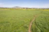 175 Barlow Road, Gunnedah NSW 2380-Image
