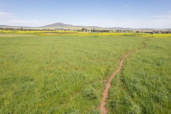 175 Barlow Road, Gunnedah NSW 2380-Image