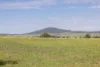 175 Barlow Road, Gunnedah NSW 2380-Image