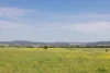175 Barlow Road, Gunnedah NSW 2380-Image