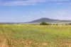 175 Barlow Road, Gunnedah NSW 2380-Image