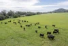 175 Barlow Road, Gunnedah NSW 2380-Image