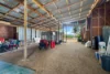 175 Channel Road, Walkamin, Qld 4872-Image