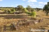 1770 Ulan Road, Frog Rock, Mudgee, NSW 2850-Image