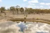 1770 Ulan Road, Frog Rock, Mudgee, NSW 2850-Image