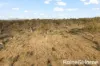 1770 Ulan Road, Frog Rock, Mudgee, NSW 2850-Image